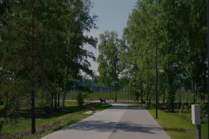 Первые автобусные маршруты запустят в Парк «Арена» накануне Дня города-2023 в Новосибирске
