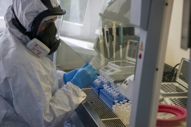 Тест на штамм коронавируса «омикрон» разработали ученые СО РАН