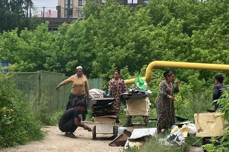 На табор за «Ройял Парком» пожаловались жители Новосибирска