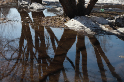 Поселок Садовый под Новосибирском затопило талыми водами