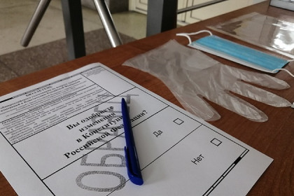 Облизбирком: 465 тысяч новосибирцев уже проголосовали по поправкам в Конституцию