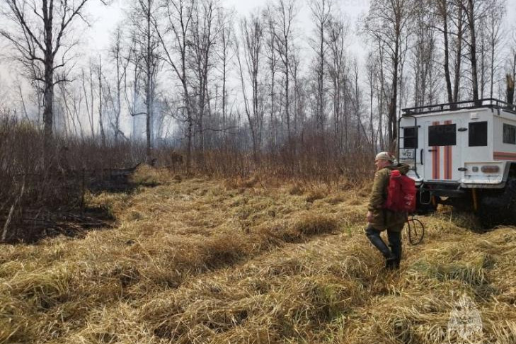 Особый противопожарный режим до 23 мая продлили в Новосибирской области