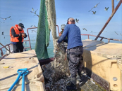 Объемы зарыбления водоемов увеличили в Новосибирской области