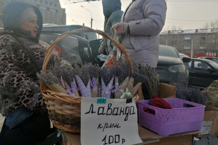 Крымскую лаванду начали продавать в Новосибирске