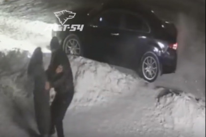 Подробности похищения девушки на улице Петухова выясняет полиция в Новосибирске