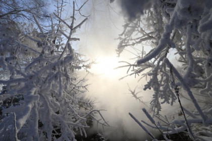 Морозы до -11 градусов накроют Новосибирскую область с 25 октября