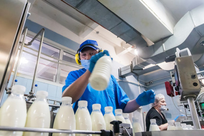 В Новосибирске на 60 суток остановлена работа молочной компании «Милкград»