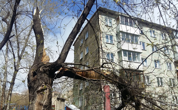 Последствия штормового ветра устраняют в Новосибирске