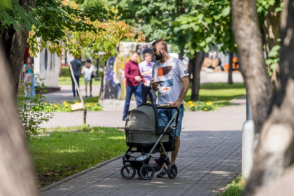 Маткапитал получили 386 отцов в Новосибирской области