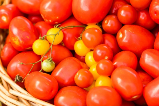 Более 18 тонн зараженных томатов вернули из Новосибирска в Узбекистан