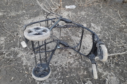 Всю правду о весеннем обострении рассказала судебный психиатр Воскресенская