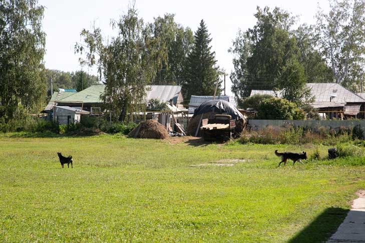 Землетрясение магнитудой 2,9 произошло в селе под Новосибирском