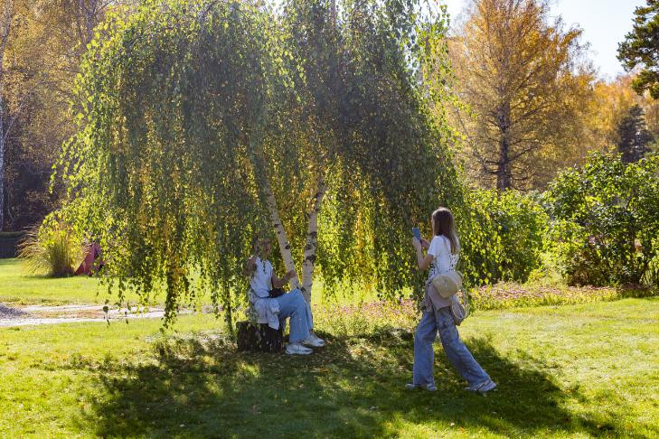 Главные способы справиться с осенней хандрой назвал новосибирский ученый Гафаров