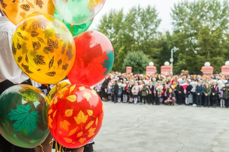 Смерть школьницы на линейке в Бердске прокомментировала врач Кочергина