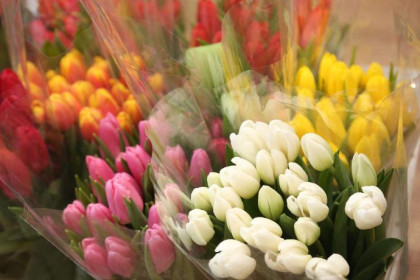 Фантомные тюльпаны продавали по всей России мошенники из Новосибирска