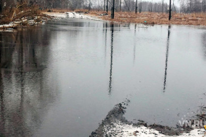 На затопленную до кладбища дорогу жалуются новосибирцы