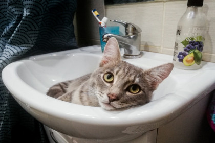 В Новосибирске завершен ремонт водопровода на улице Сухарной