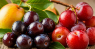 Слива и чернослив замедляют рост раковых клеток: новейшие исследования учёных
