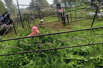 Вандалы устроили погром на кладбище под Новосибирском