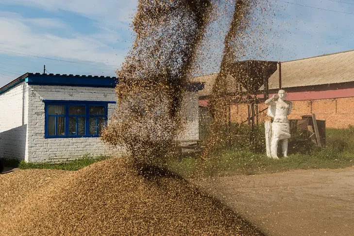 Почти 3 млн тонн зерна планируют собрать в Новосибирской области осенью-2025