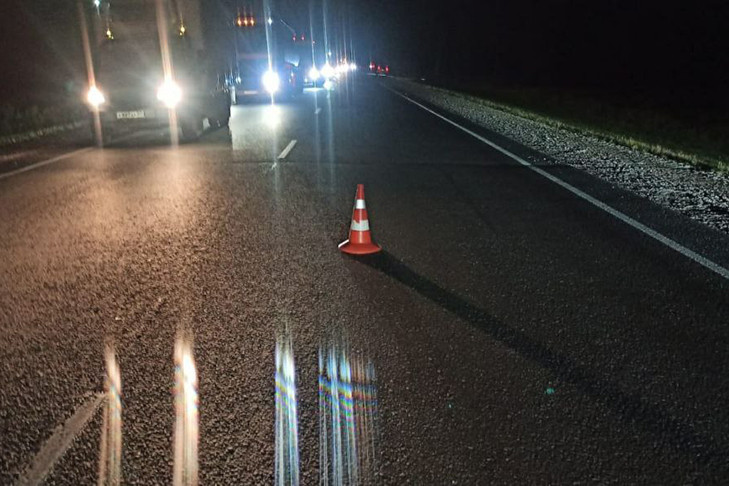 Лось унес жизни двух человек на трассе под Новосибирском