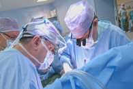 Новосибирские учёные создают аппарат для доставки донорских сердец по России