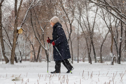 В Новосибирской области с нового года выросли страховые пенсии