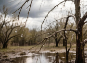 Бердчан предупредили о резком ухудшении погоды: порывы ветра и град