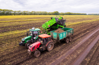 Молодые специалисты АПК в регионе получат до 500 тысяч рублей при трудоустройстве