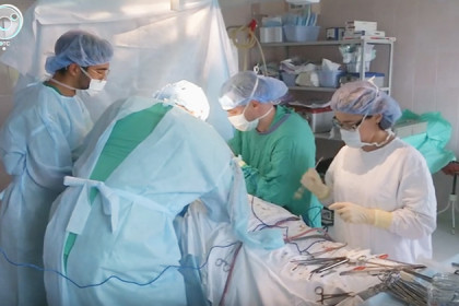 Где трансплантологи берут органы для пересадки