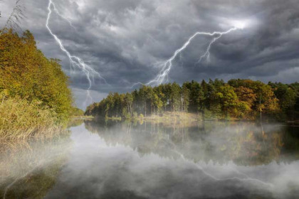 От удара молнии вспыхнул лес в Новосибирской области