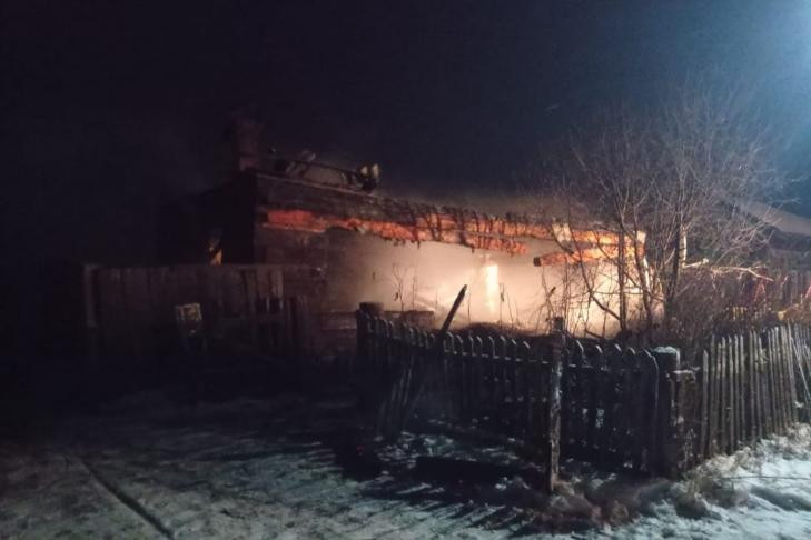Пенсионер с сыном погибли при пожаре в Новосибирской области
