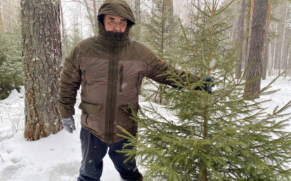 Беспилотники будут следить за заготовкой новогодних елок в регионе