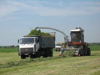 Меры господдержки для аграриев Новосибирской области растут