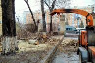 В Новосибирске необходимо комплексно изменять подход к озеленению