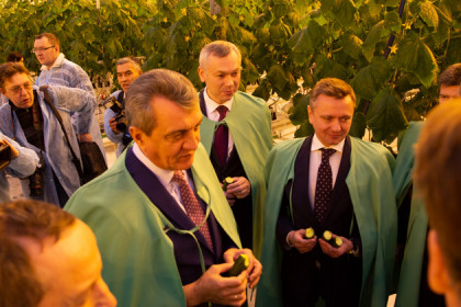 Новосибирская область на 100% закроет свои потребности по выращиванию овощей