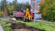 Молодые яблони высадят на Сиреневом спуске в Новосибирске