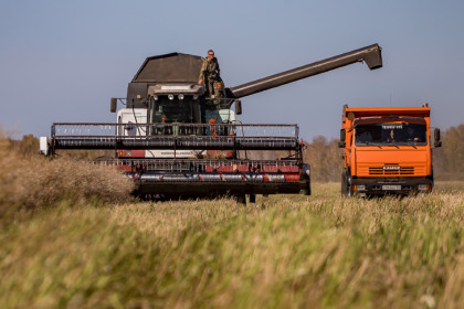 Новые меры господдержки для развития кадров в АПК введут в Новосибирской области