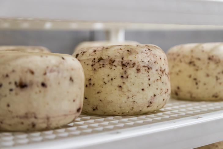 Дерзкого похитителя сыра второй месяц ищут в Новосибирске