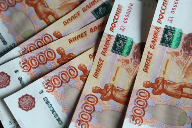 На что потратят дополнительные деньги новосибирские чиновники