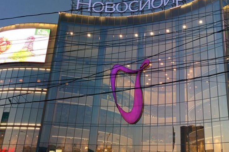 Крысы изрыли норами землю в центре Новосибирска