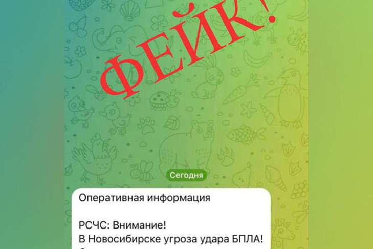 Сообщения об угрозе удара беспилотника в Новосибирске опровергает МЧС