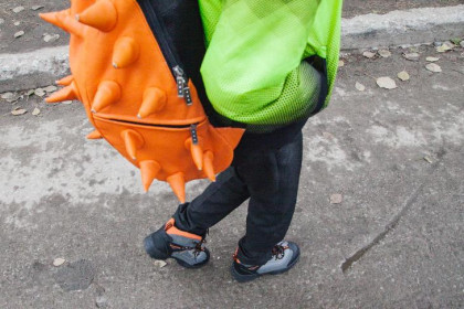 СК проводит проверку по факту избиения школьницы на Северо-Чемском в Новосибирске