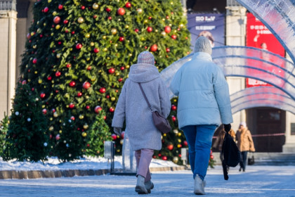 Утильсбор и цифровой паспорт: о новациях декабря-2025 рассказали новосибирцам