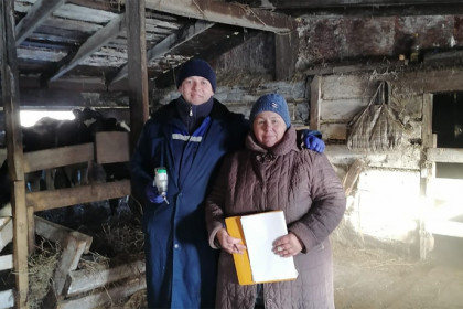 Более 300 тысяч коров вакцинировали в Новосибирской области