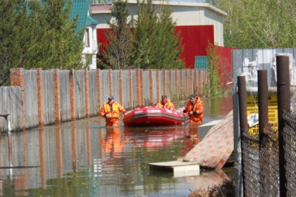 Десятки дачных участков подтопили грунтовые воды под Новосибирском