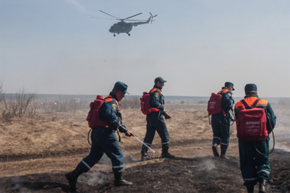 Дополнительные силы направлены на тушение пожара в заказнике «Кирзинский»