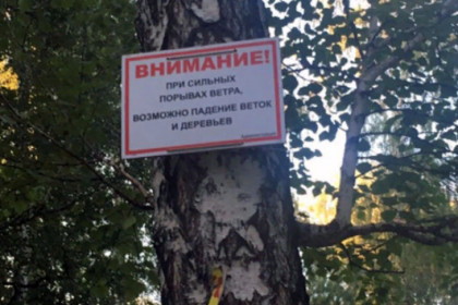 Второе экстренное предупреждение за сутки распространило МЧС Новосибирска