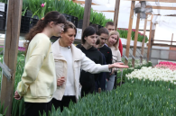 В царстве тюльпанов побывали студенты из Искитимского района