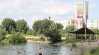 В Новосибирске высадят 777 сосен в честь юбилея общества охраны природы